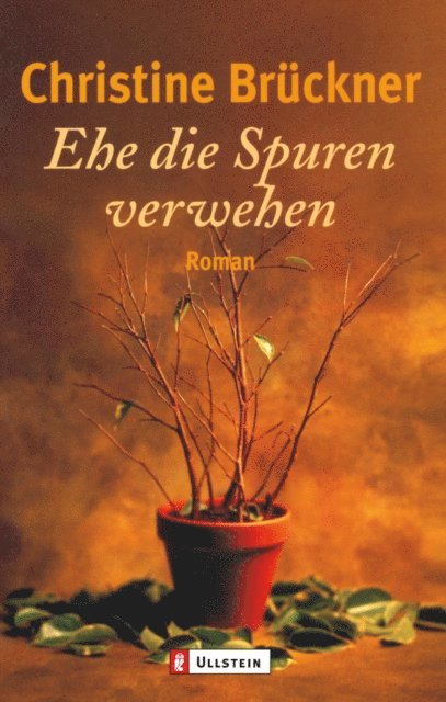 Christine Bruckner - Ehe die Spuren verwehen, E-bok
