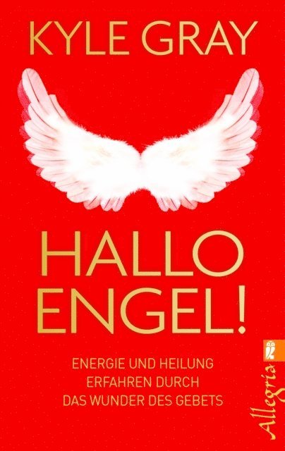 Kyle Gray - Hallo Engel!, E-bok