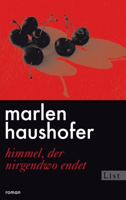 Marlen Haushofer, Manfred Mittermayer - Himmel, der nirgendwo endet, E-bok