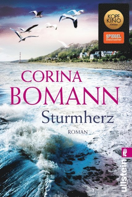Corina Bomann - Sturmherz, E-bok