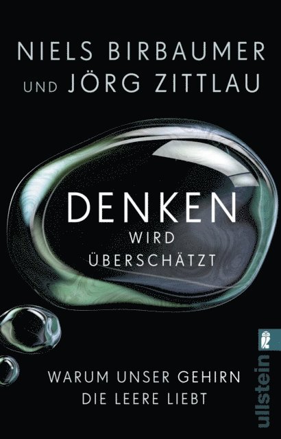 Jorg Zittlau, Niels Birbaumer - Denken wird überschätzt, E-bok