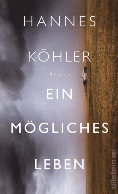 Hannes Kohler - Ein mögliches Leben, E-bok