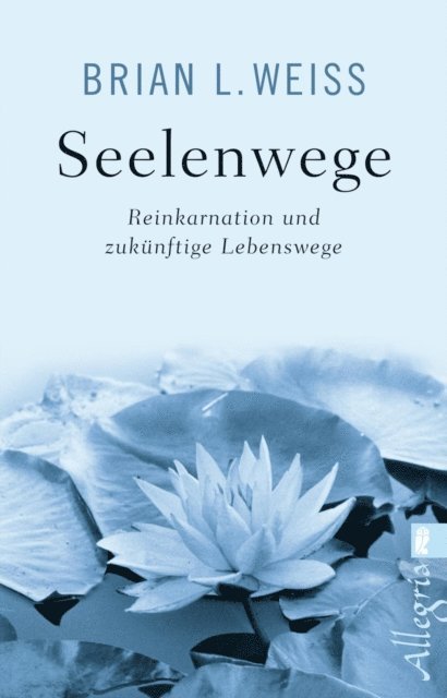 Brian L. Weiss - Seelenwege, E-bok