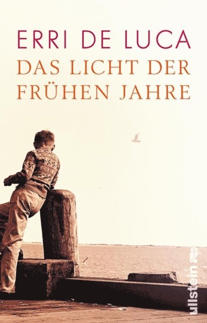 Erri De Luca - Das Licht der frühen Jahre, E-bok