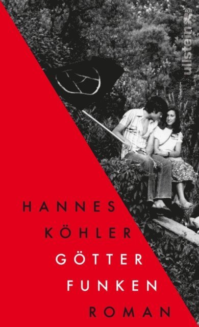 Hannes Kohler - Götterfunken, E-bok