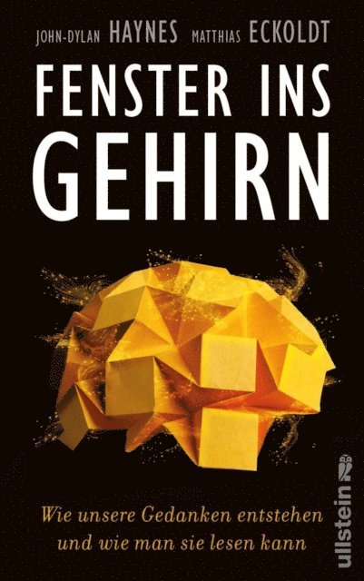 Matthias Eckoldt, John-Dylan Haynes - Fenster ins Gehirn, E-bok