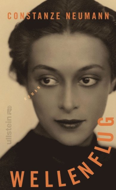 Constanze Neumann - Wellenflug, E-bok