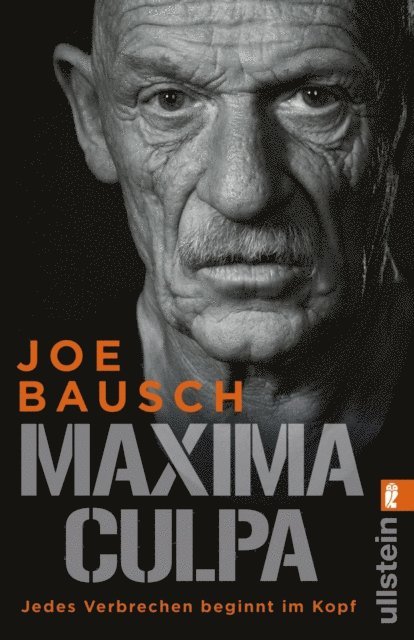 Bertram Job, Joe Bausch - Maxima Culpa, E-bok