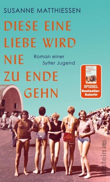 Susanne Matthiessen - Diese eine Liebe wird nie zu Ende gehn, E-bok