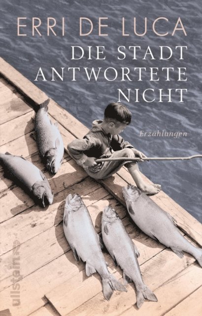 Erri De Luca - Die Stadt antwortete nicht, E-bok