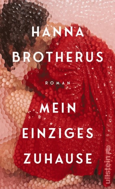 Hanna Brotherus - Mein einziges Zuhause, E-bok