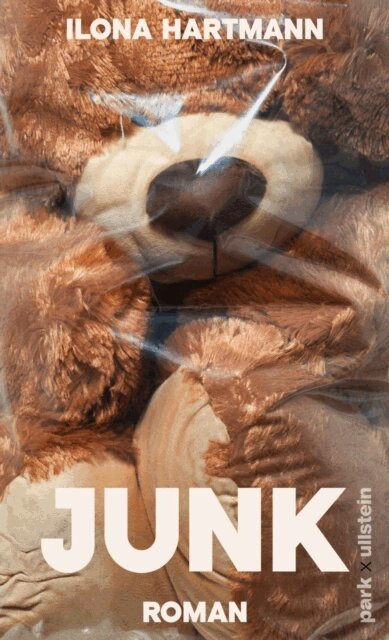 Ilona Hartmann - Junk, E-bok