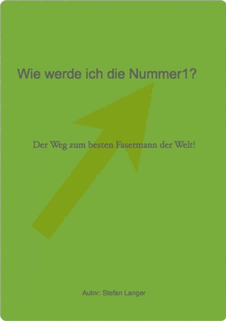 Stefan Langer - Wie werde ich die Nummer1!, E-bok