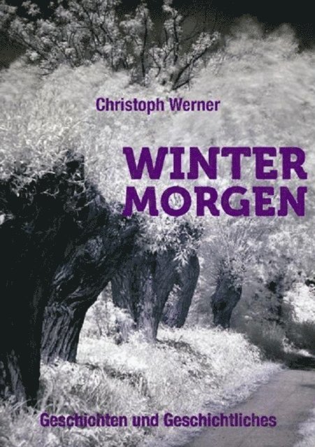 Christoph Werner - Wintermorgen - Geschichten und Geschichtliches, E-bok