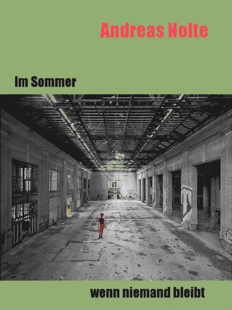 Andreas Nolte - Im Sommer, wenn niemand bleibt, E-bok