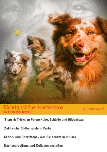 Helma Spona - Richtig schöne Hundefotos, E-bok