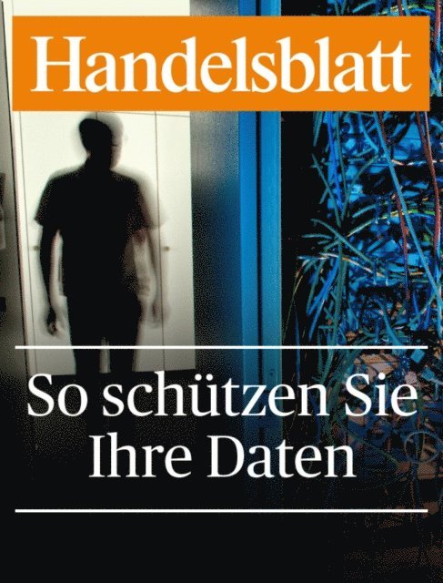 Handelsblatt GmbH - So schützen Sie Ihre Daten, E-bok