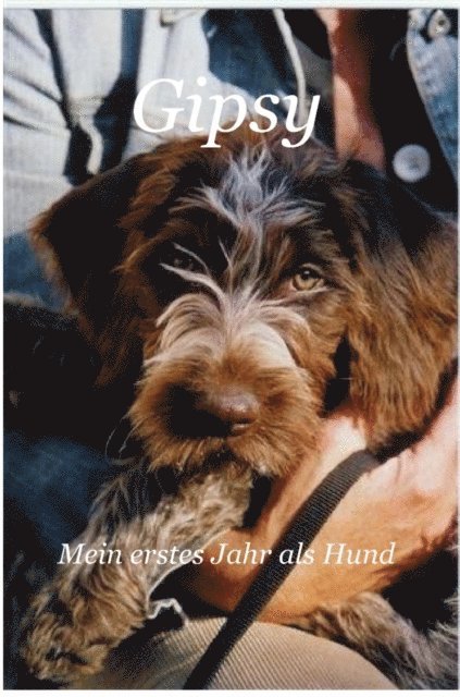 Siegfried Schneider - Gipsy - Mein erstes Jahr als Hund, E-bok