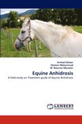 Equine Anhidrosis