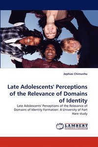 Late Adolescents' Perceptions of the Relevance of Domains of Identity