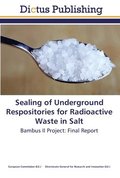 Sealing of Underground Respositories for Radioactive Waste in Salt