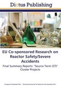EU Co-sponsored Research on Reactor Safety/Severe Accidents