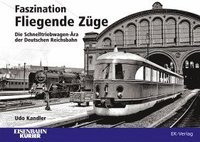 Faszination Fliegende Z�ge