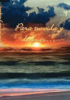 Ingo Schneider - Para tu vida y después..., Häftad