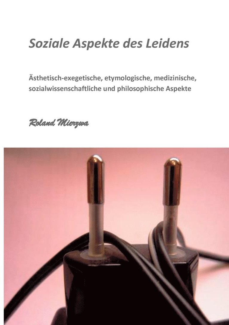 Roland Mierzwa - Soziale Aspekte des Leidens, Häftad