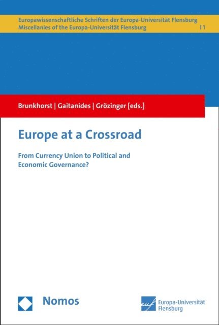 Gerd Grozinger, Charlotte Gaitanides, Hauke Brunkhorst - Europe at a Crossroad, E-bok