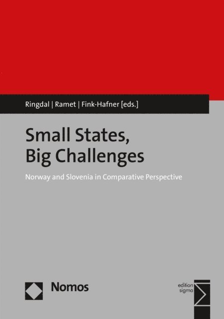 Danica Fink-Hafner, Sabrina P. Ramet, Kristen Ringdal - Small States, Big Challenges, E-bok