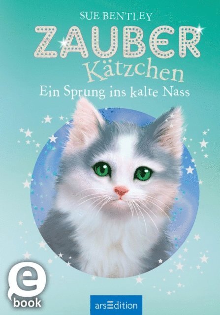 Sue Bentley - Zauberkätzchen – Ein Sprung ins kalte Nass, E-bok