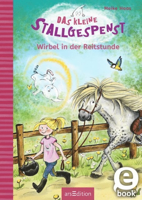 Meike Haas - Das kleine Stallgespenst – Wirbel in der Reitstunde (Das kleine Stallgespenst 2), E-bok