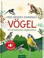 Eva Wagner - Mein großes Soundbuch Vögel, Kartonnage