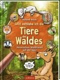 Jetzt verstehe ich die Tiere des Waldes