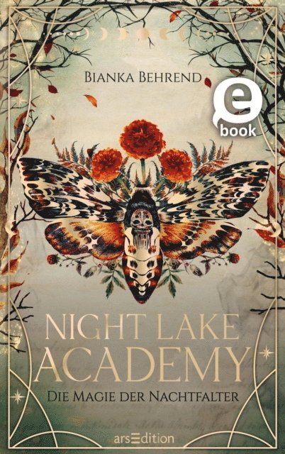 Bianka Behrend - Night Lake Academy – Die Magie der Nachtfalter (Night Lake Academy 1), E-bok