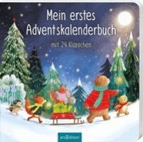 Maria Höck - Mein erstes Adventskalenderbuch, Kartonnage