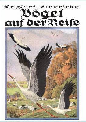 Kurt Floericke - Vögel auf der Reise, Häftad