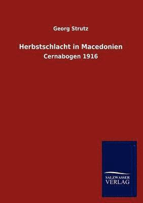 Georg Strutz - Herbstschlacht in Macedonien, Häftad. Tillgänglighet: Lägg i varukorg