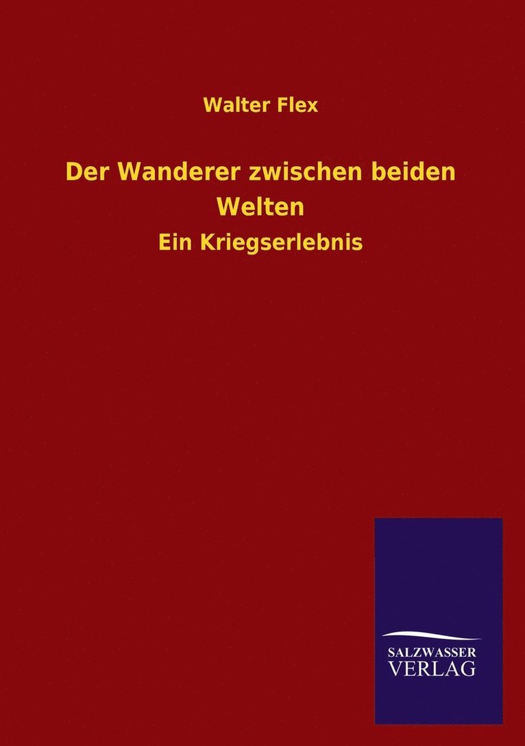 Walter Flex - Wanderer zwischen beiden Welten, Häftad