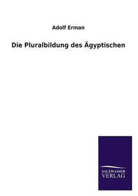 Pluralbildung Des Agyptischen