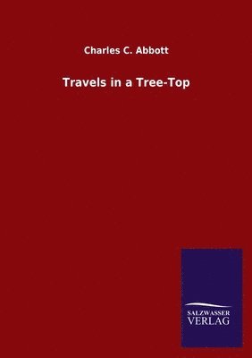 Charles C Abbott - Travels in a Tree-Top, Häftad