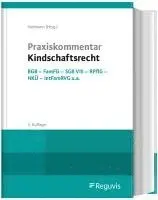 Stefan Heilmann - Praxiskommentar Kindschaftsrecht, Inbunden. Tillgänglighet: Lägg i varukorg
