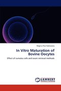 In Vitro Maturation of Bovine Oocytes