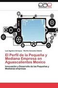 El Perfil de la Pequena y Mediana Empresa en Aguascalientes Mexico