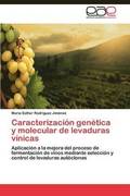 Caracterizacion genetica y molecular de levaduras vinicas