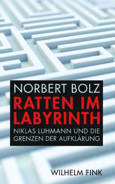Norbert Bolz - Ratten im Labyrinth, E-bok