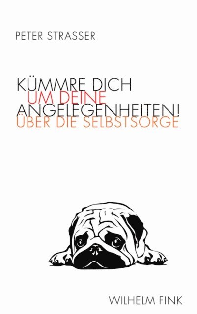 Peter Strasser - Kümmre dich um deine Angelegenheiten!, E-bok