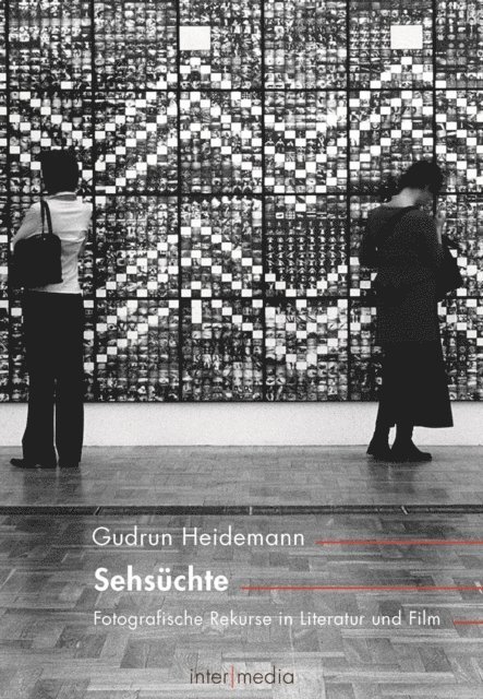 Gudrun Heidemann - Sehsüchte, E-bok