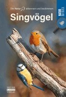 Singvögel, Häftad